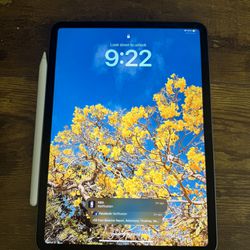 iPad Pro 4th gen 11 inch