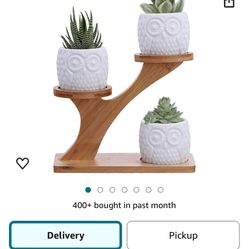 3pcs Owl Succulent Pots with 3 Tier Bamboo Saucers Stand Holder