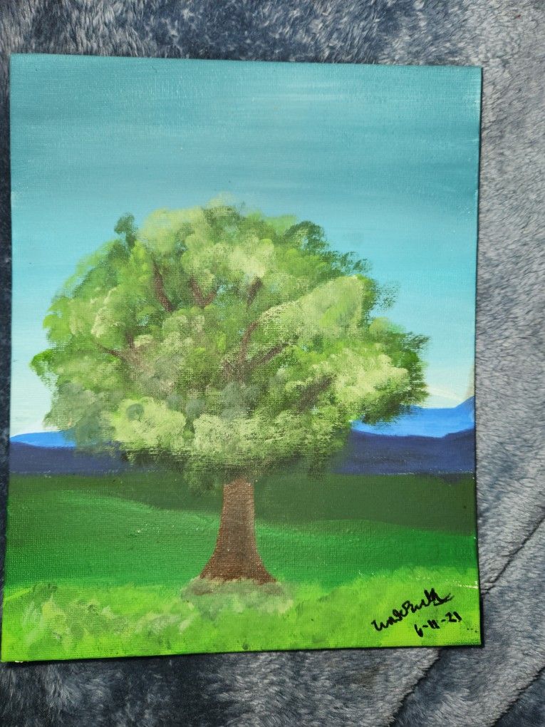 picture of a beautiful tree