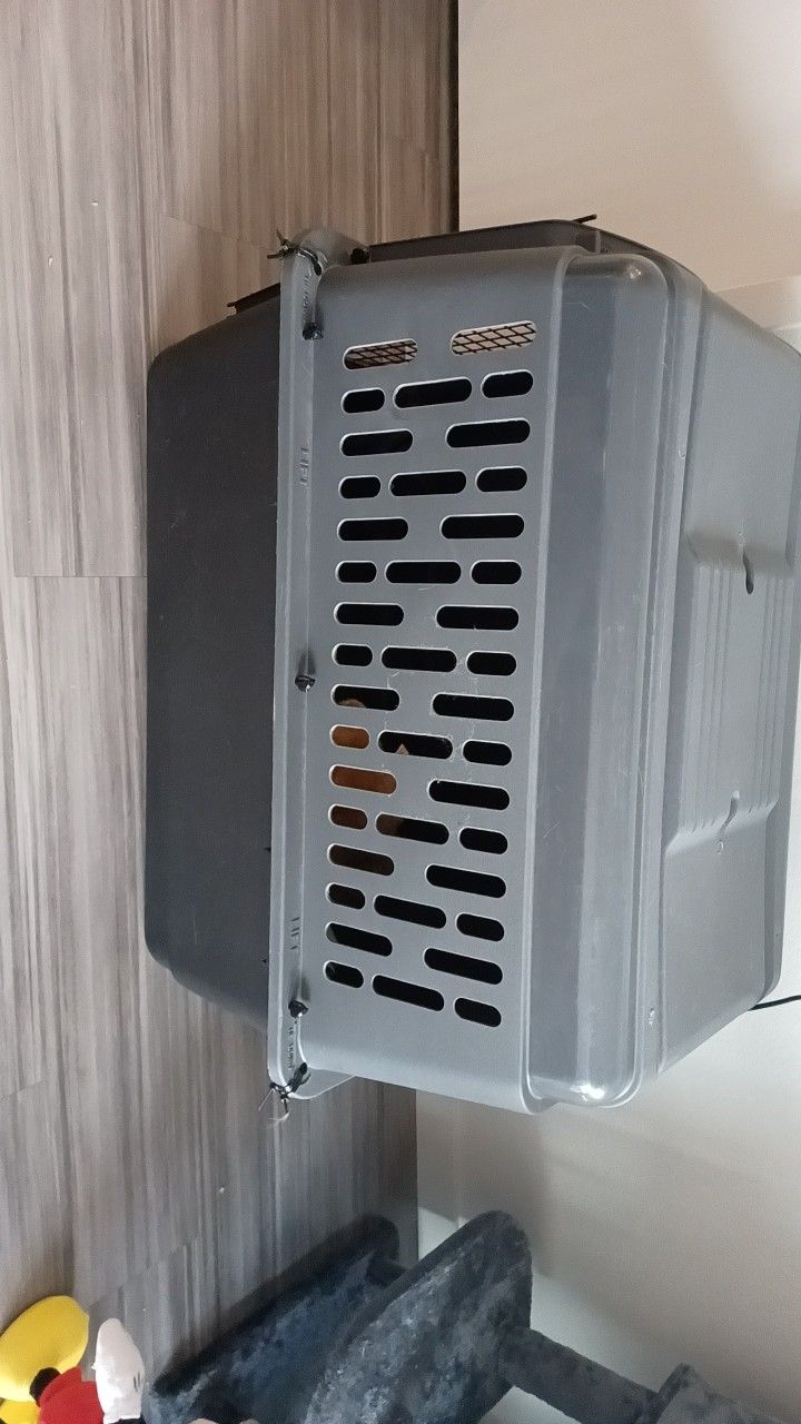 Large Crate