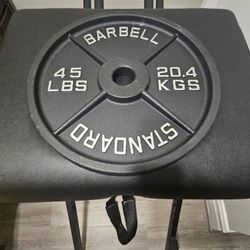 2 Standard Barbell Weighted Plates 
