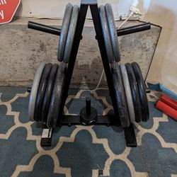 Barbell/Dumbbell Weights, Bar, Stand