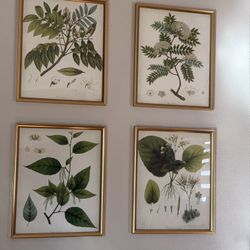 Set of 4 Greenery Print decor frames
