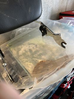 Harley Davidson Sissy Bar