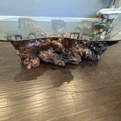 Vintage Redwood Burl Coffee Table & End Table 