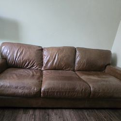 Leather Sofa Chestnut Brown Softline