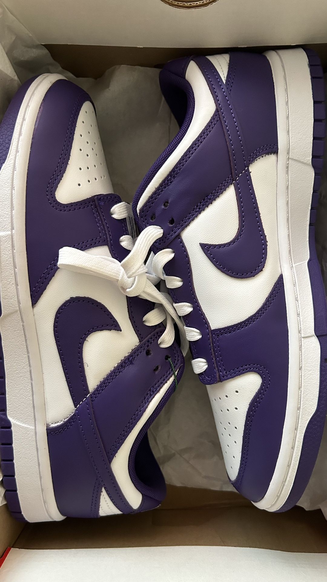 Nike Dunk Purple