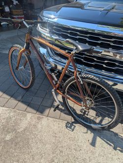 Cannondale F2009