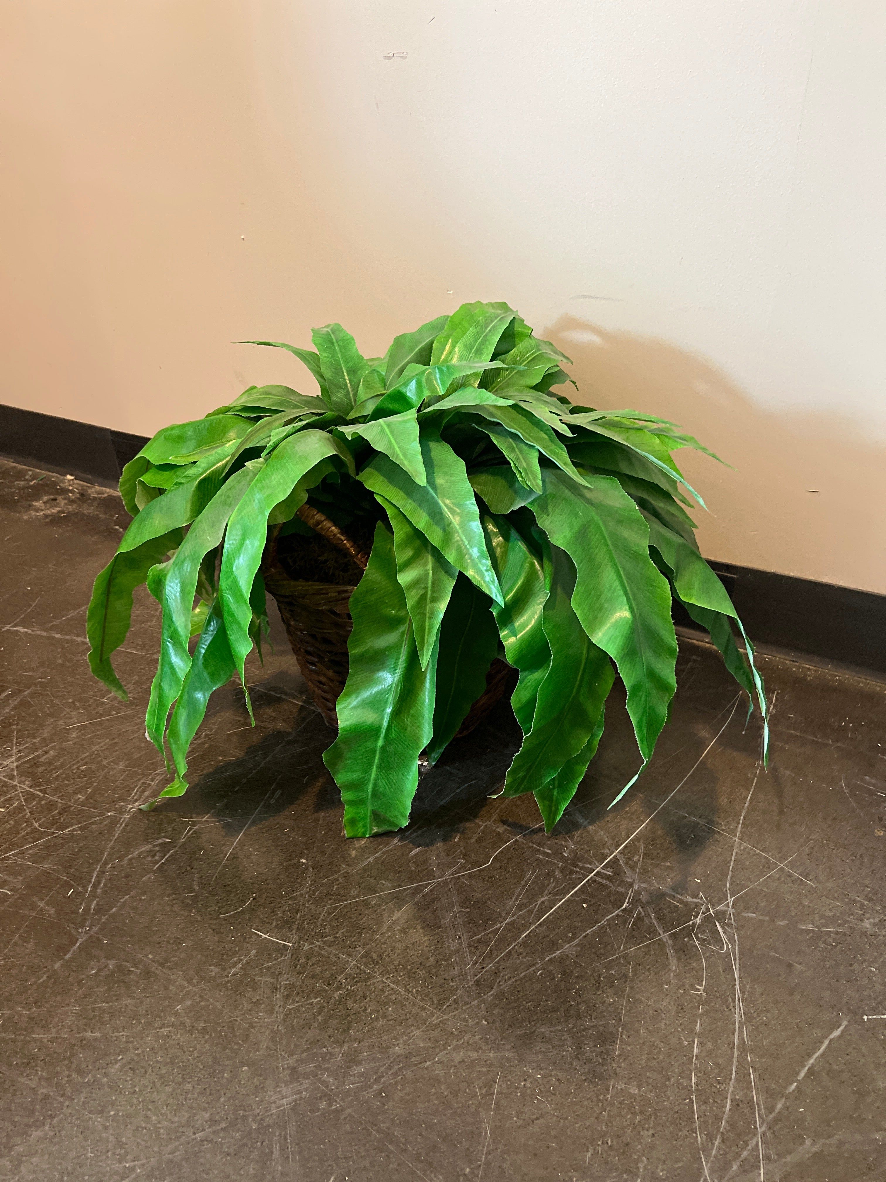 Small Artificial Fern Plant in Wicker Basket