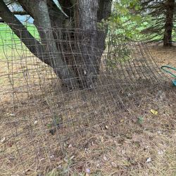 Free Concrete Reinforcing Mesh 