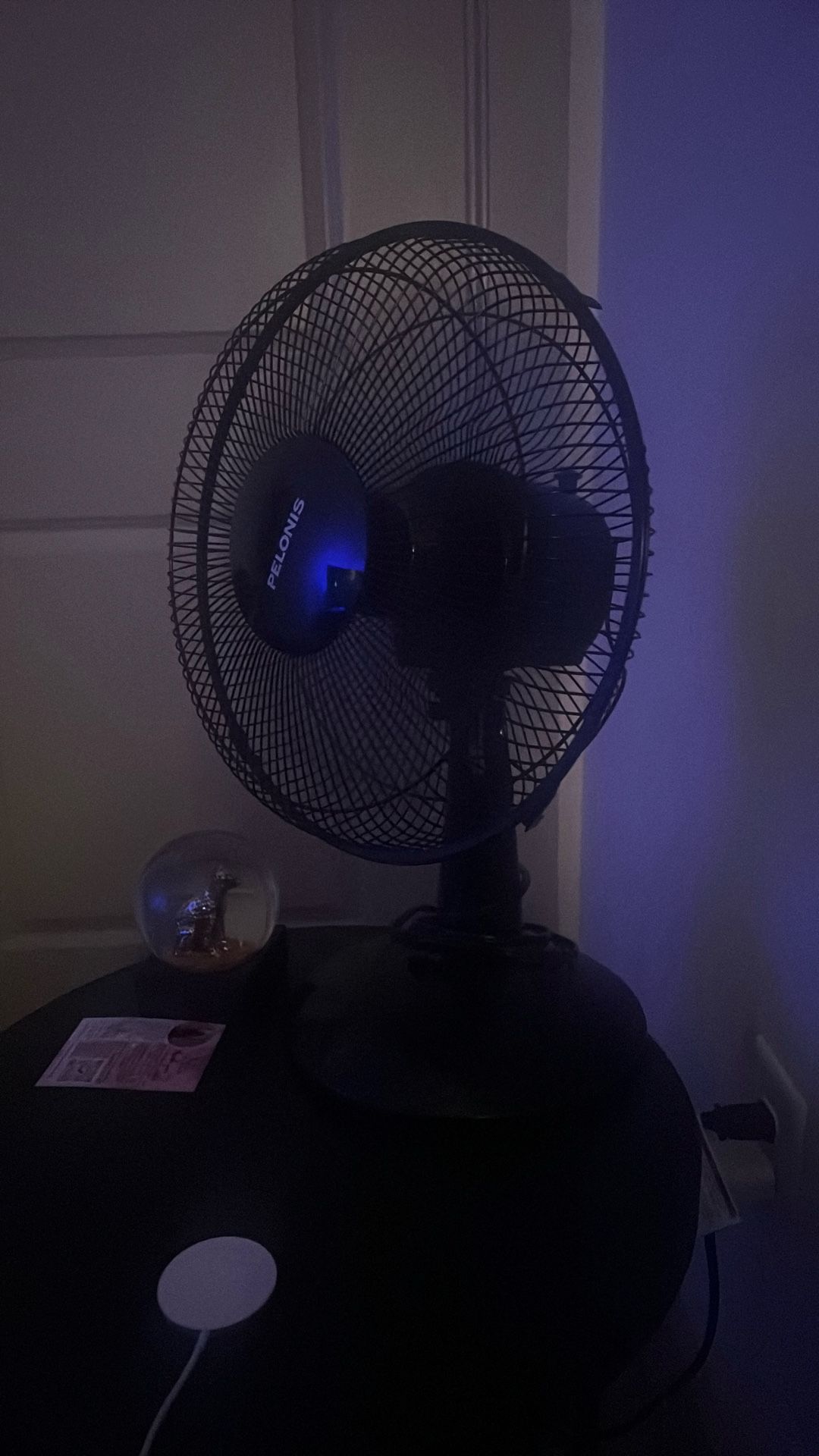 Fan
