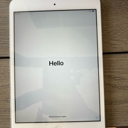 iPad Mini 2