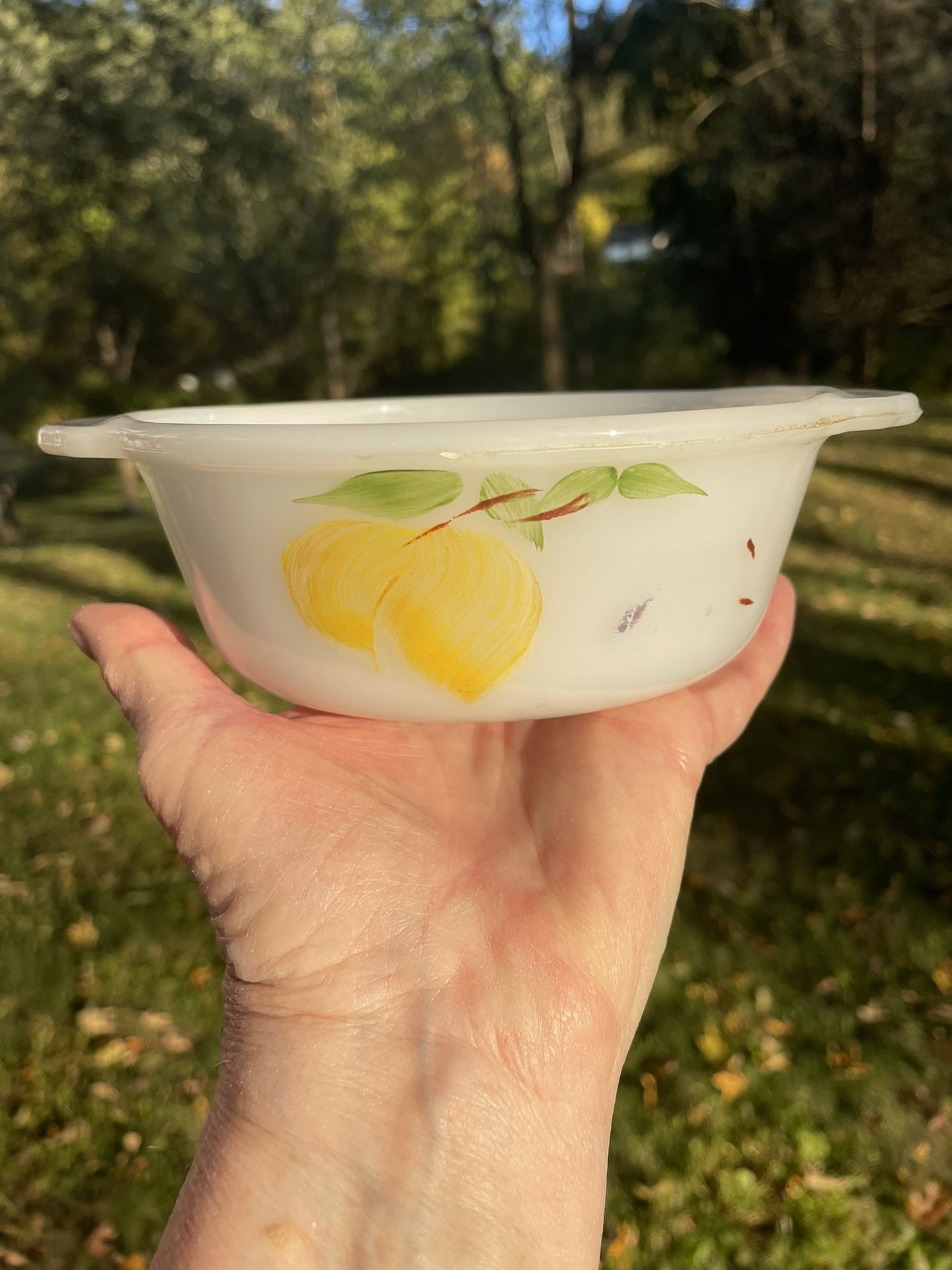 Small anchor, hiking fire king casserole dish