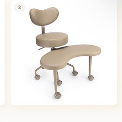 Multiple Position Desk Chair 