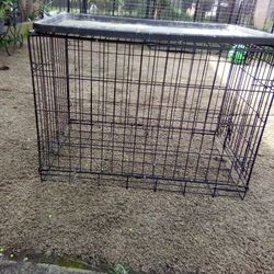 Dog cage 