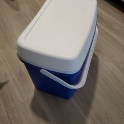 Igloo Cooler