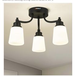 Brand New 3 Light Ceiling Fixture