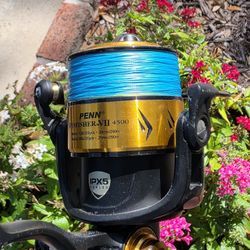 New Spinfisher Reel/New Braid/Connley Rod.
