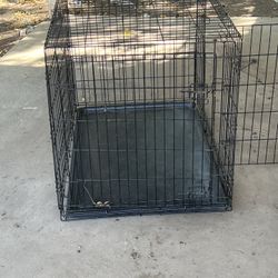 Dog Kennel 