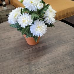 Faux White Flowers With Pot