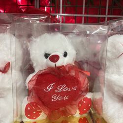Valentine’s Day Gift