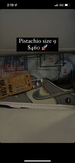 Pistachio Nike Dunks Size 9