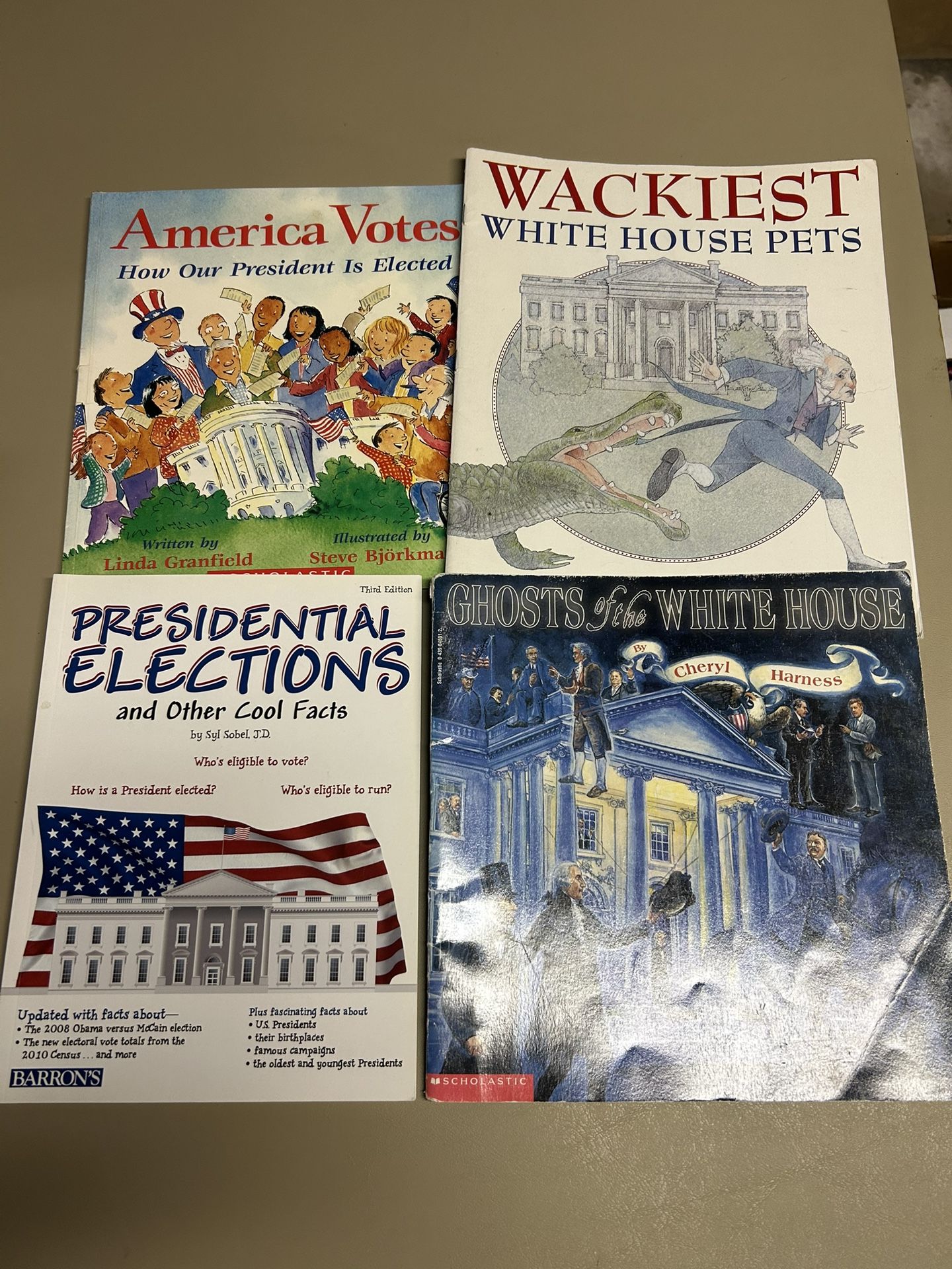 Children's Non-fiction Government Themed Picture Books Bundle 