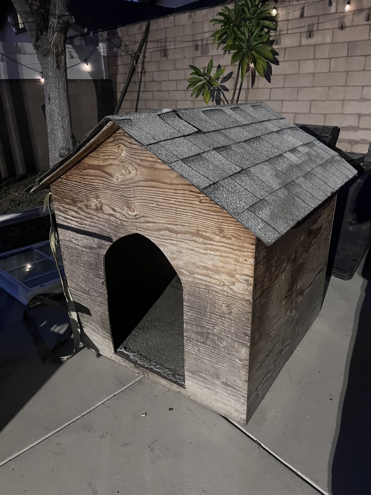 Dog House