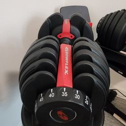 Bowflex Dumbells With Stand