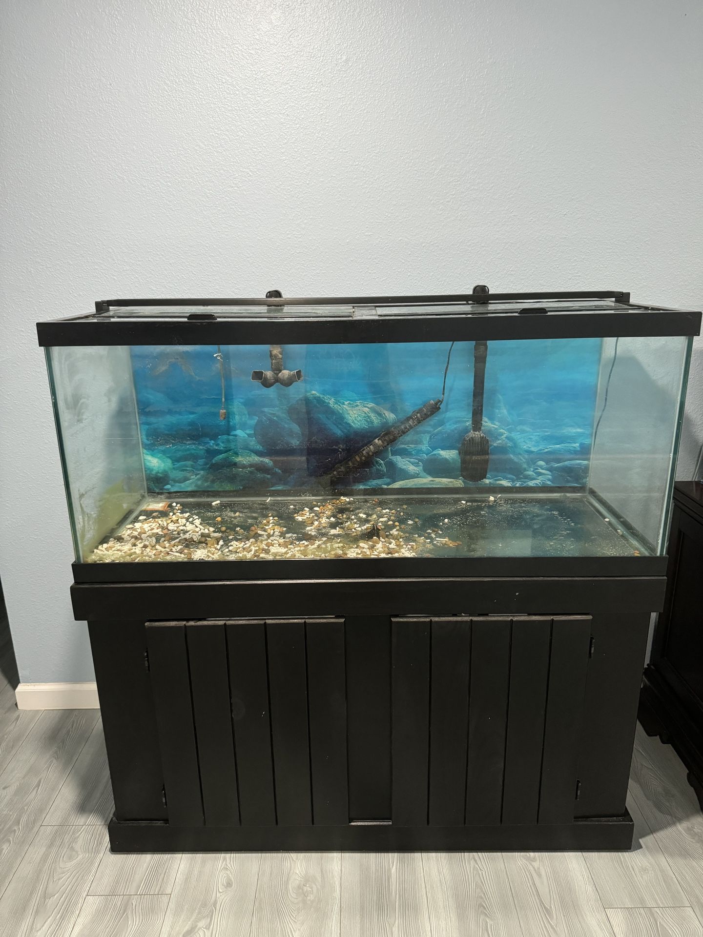 75gl Full Setup Aquarium Fish Tank Fx6 Filter 