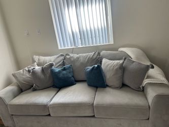 Living Spaces Coach