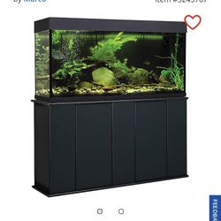 Aquarium