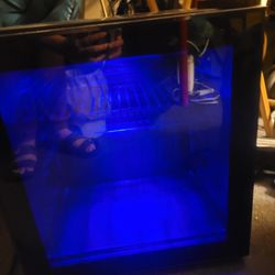 Mini Fridge 