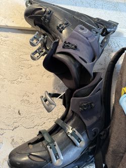 Women’s Size 10 Roller Blades 