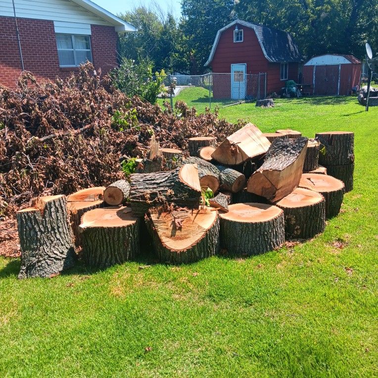 FREE LOGS