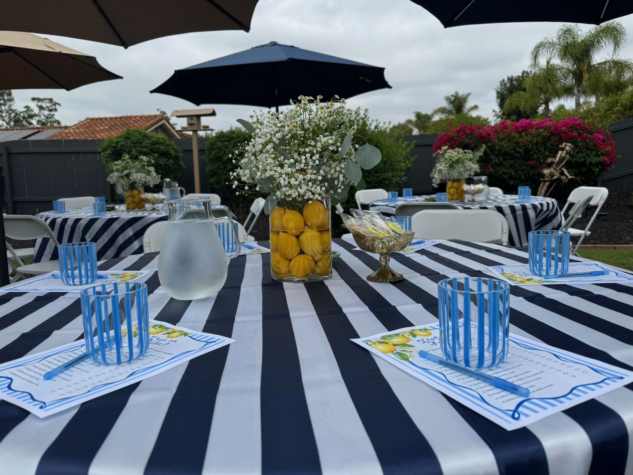 Blue and white Striped Tablecloths