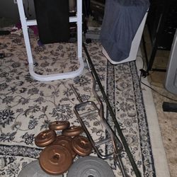 Gym Equipment $30 For All