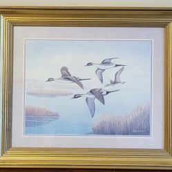 Wall Framed Picture Pintail Ducks Print by Ralph S. Coventry In Wooden Frame