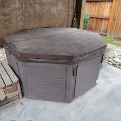 72" Octagon Hot Tub