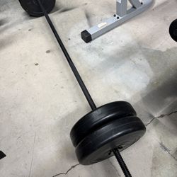 Barbell With 100lbs Of Weights 