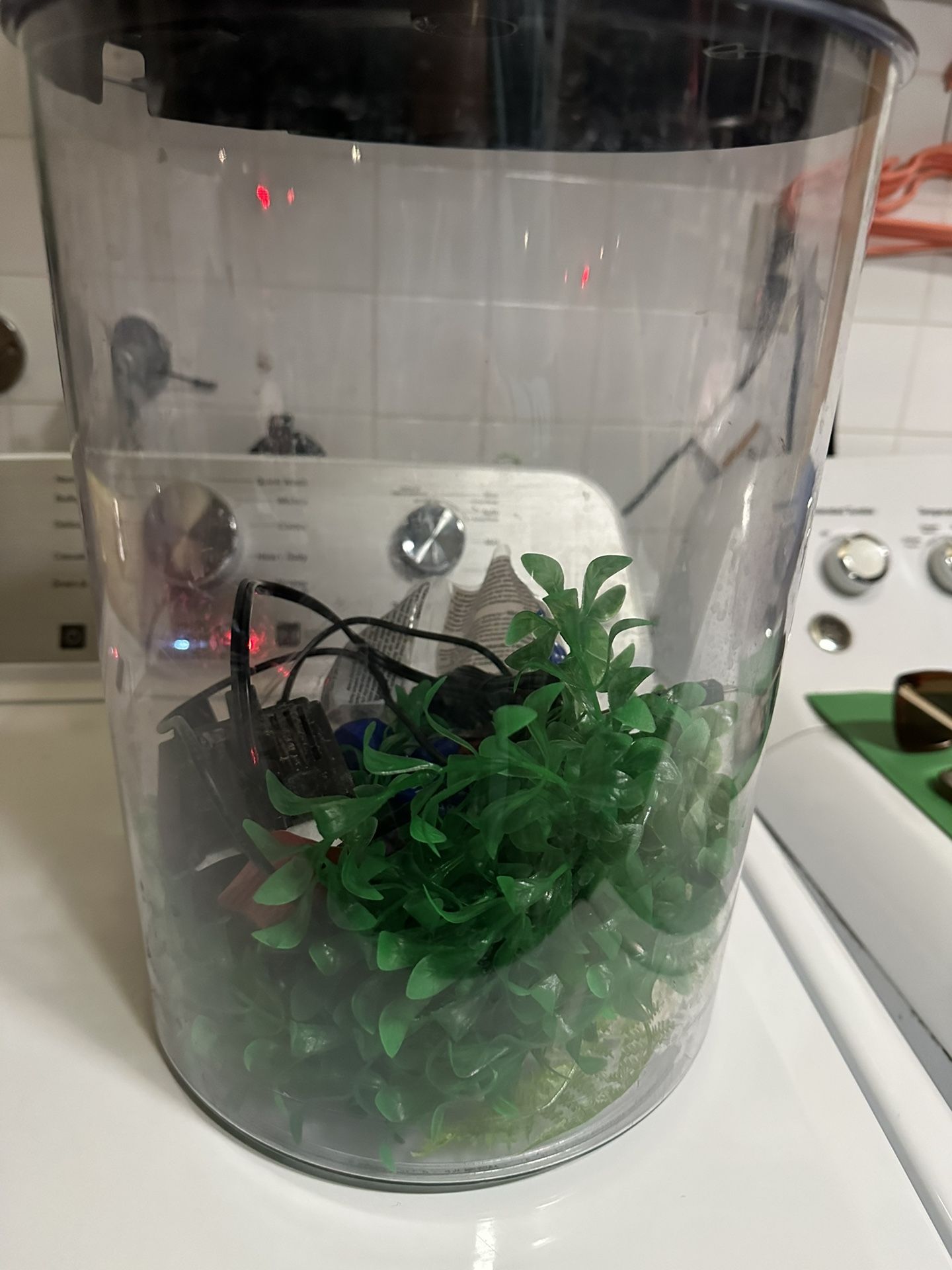 Fish Tank W/filter
