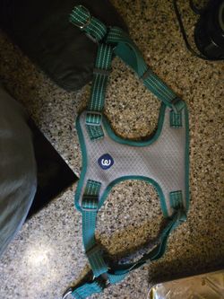 Wild One Dog Harness small