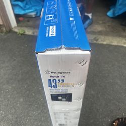 Television (40 Inch)