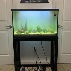 30g fish tank 
