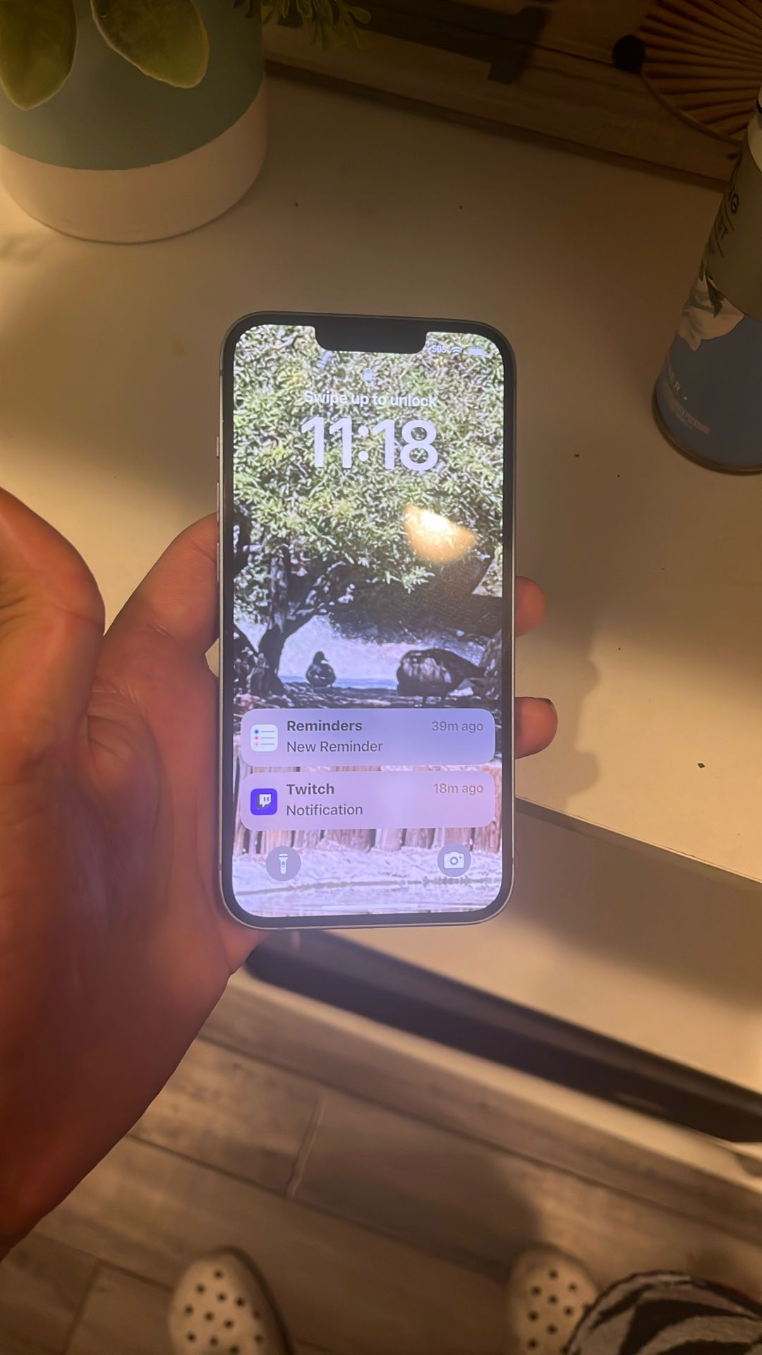 Working iPhone