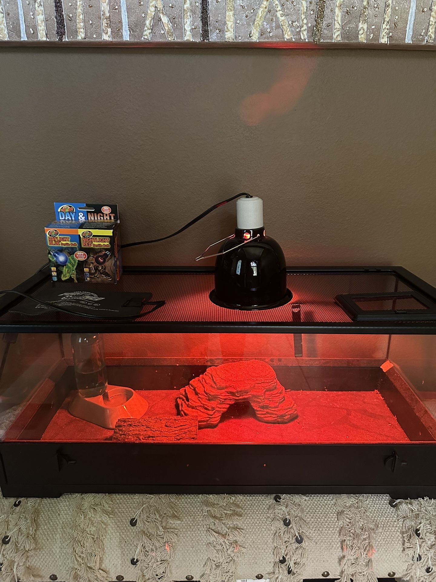 Reptile Cage And Heat Lamp