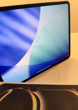 ipad pro 13-inch m4 wi-fi + cellular 256gb (Excellent Condition)