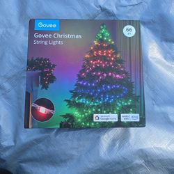 Govee Christmas String Lights 66'