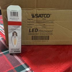 Light Bulbs 24 Units  New 