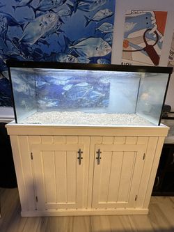 75 Gallon Fish Tank With Custom Built Stand